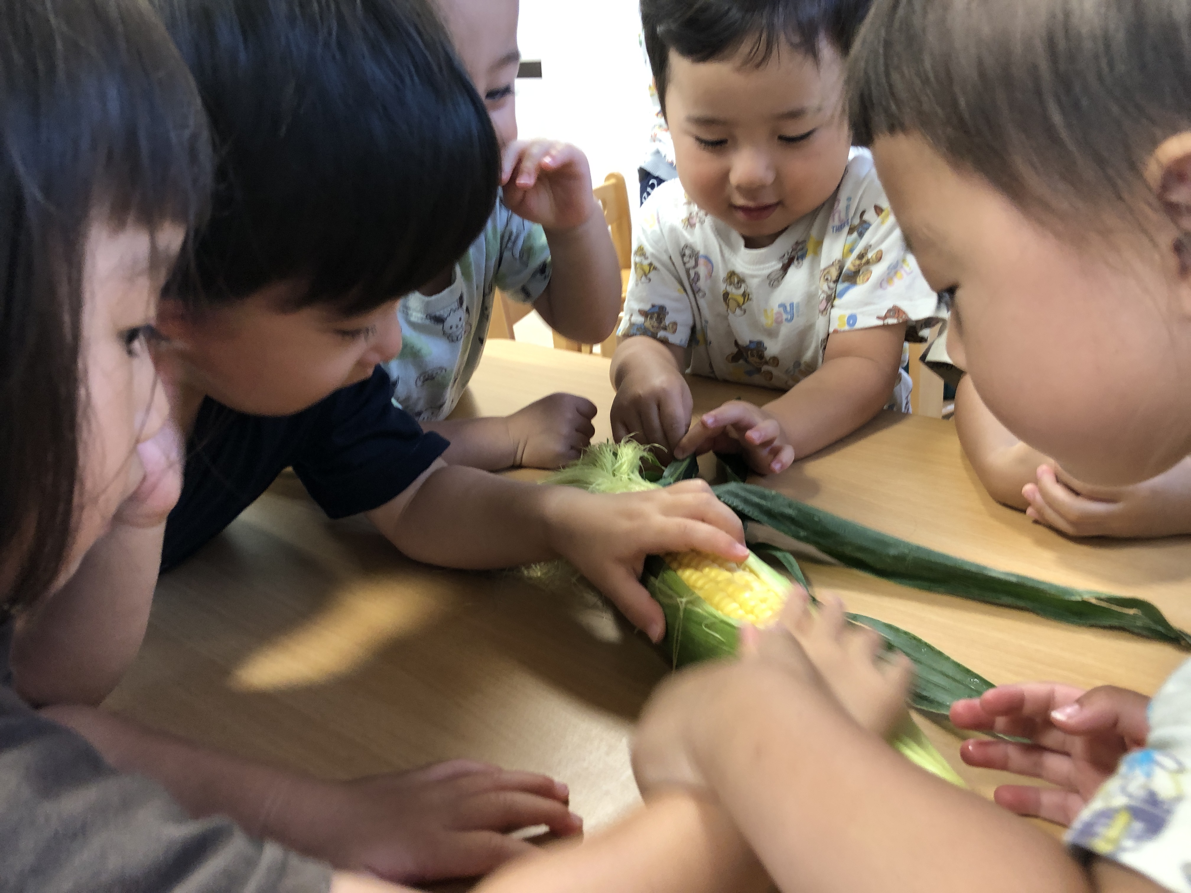 とうもろこしのお話